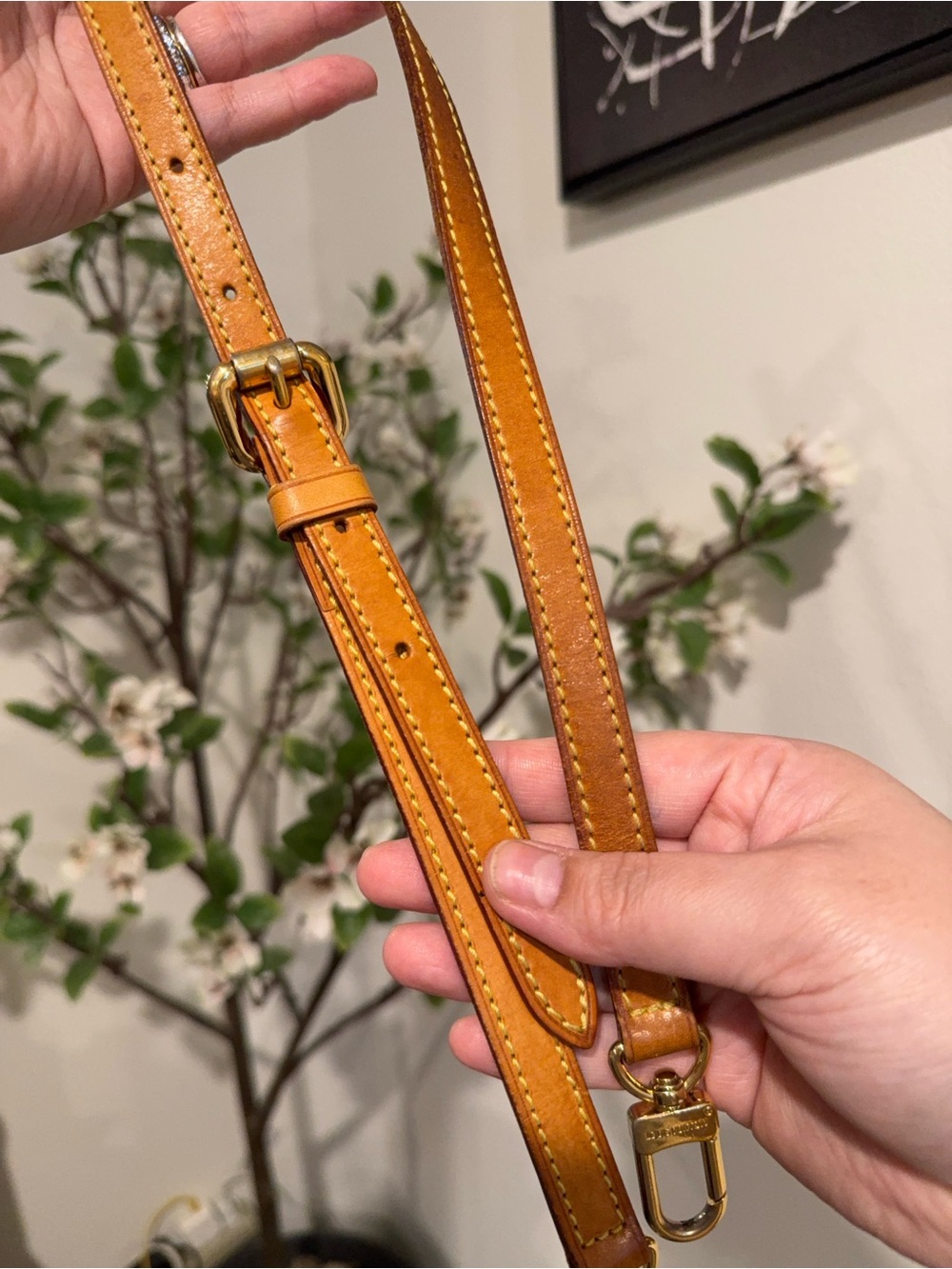 LV Palermo Pm - Picture 9 of 13